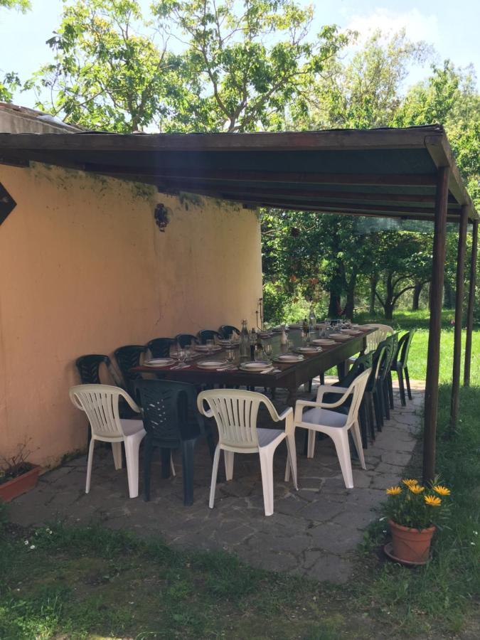 Agriturismo Bethsaid Fauglia Экстерьер фото