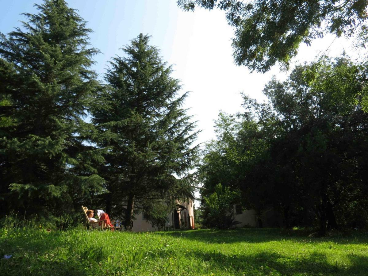 Agriturismo Bethsaid Fauglia Экстерьер фото