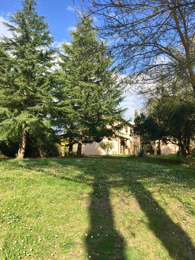 Agriturismo Bethsaid Fauglia Экстерьер фото
