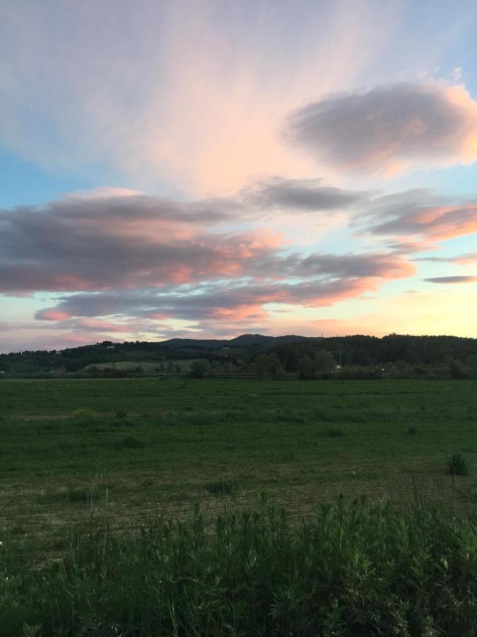 Agriturismo Bethsaid Fauglia Экстерьер фото